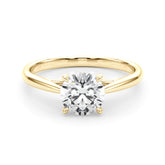 Solitaire Rounds - TN85325